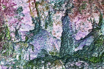 N 156D